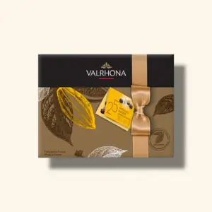 Ballotin de 25 bonbons de chocolat Valrhona avec 8 variétés : pralinés, ganaches, orangettes – à offrir ou à savourer